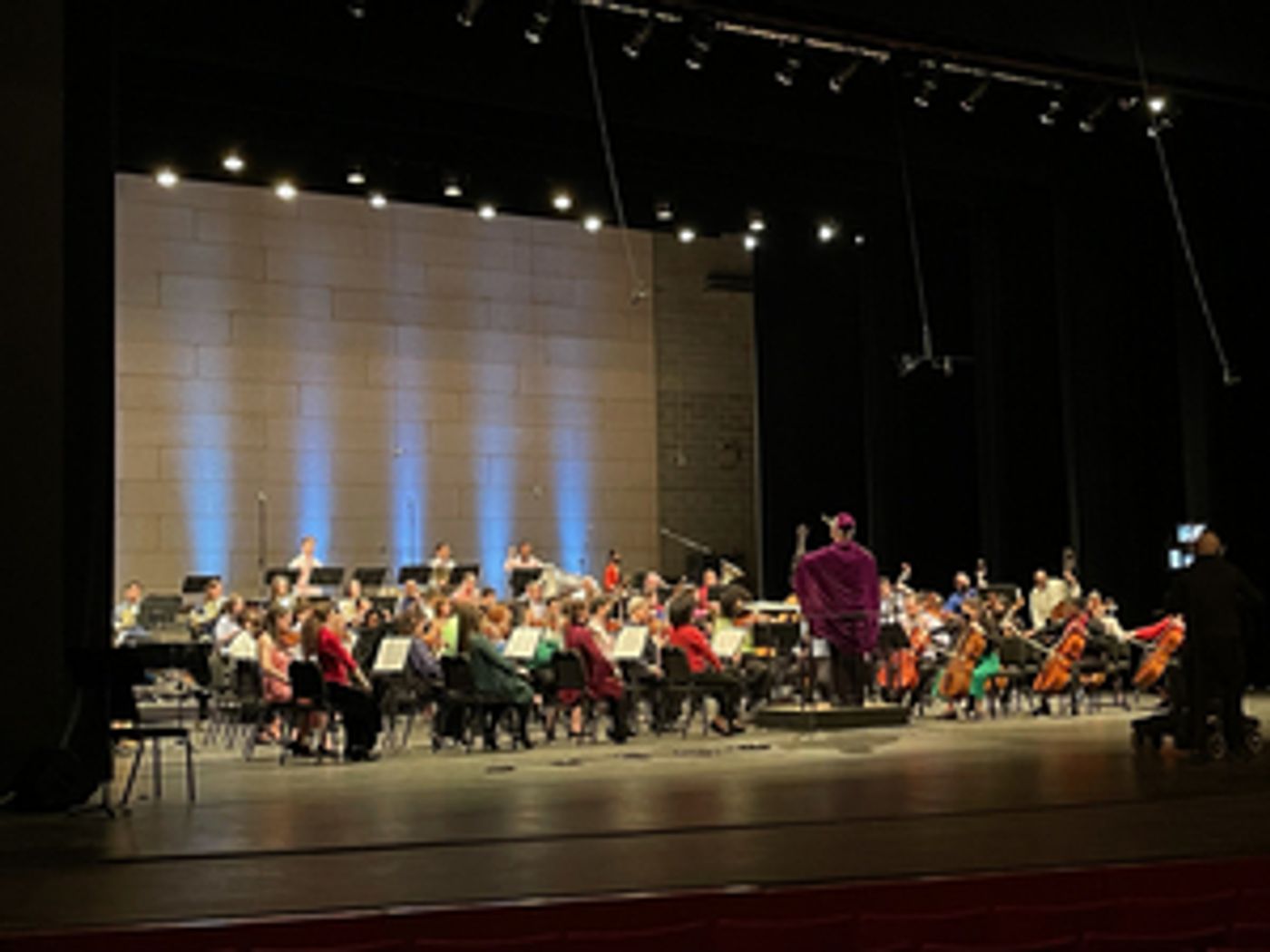 Carnegie Hall's LINK UP: THE ORCHESTRA SINGS Free Online Concert Now Available  Image