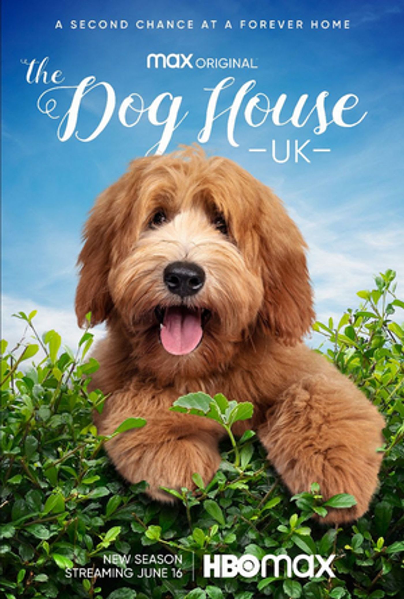 VIDEO: HBO Max Shares Trailer for Season Three Of THE DOG HOUSE: UK VIDEO: HBO Max Shares Trailer for Season Three Of THE DOG HOUSE: UK Image