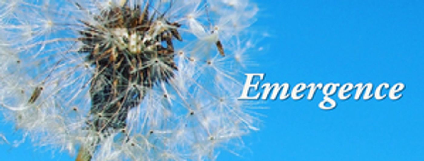 Theater 29 to Present EMERGENCE This Month Theater 29 to Present EMERGENCE This Month Image