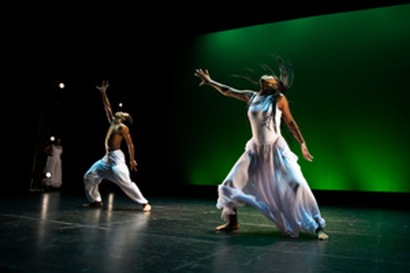 STG Presents 24th Annual DANCE THIS Show  Image