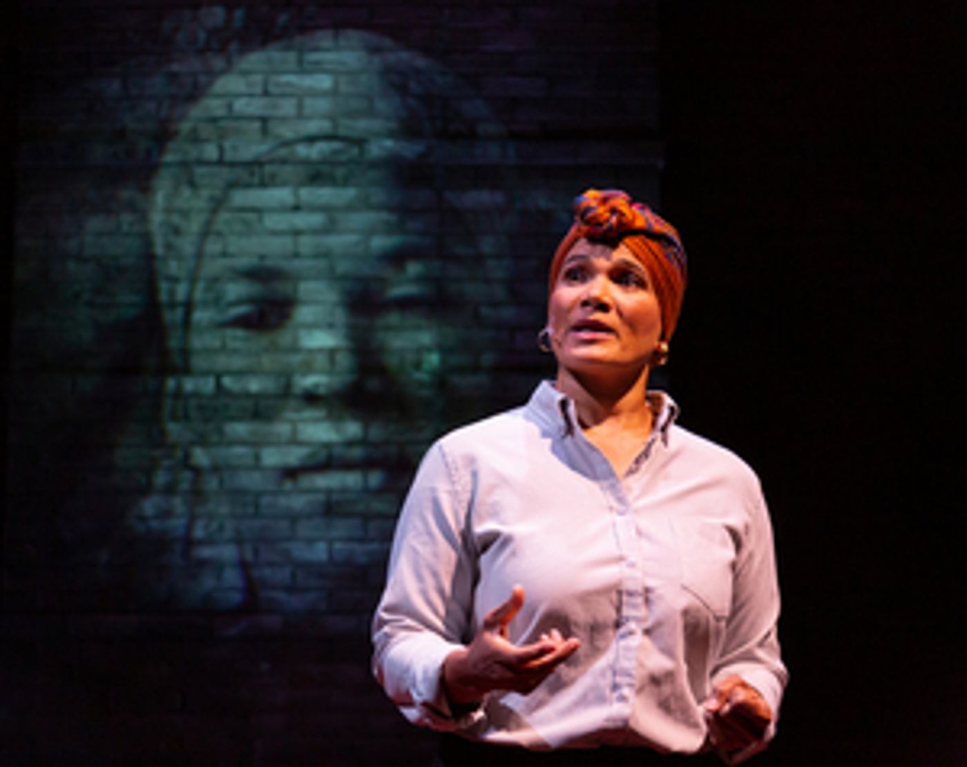 Review: FIRES IN THE MIRROR: CROWN HEIGHTS, BROOKLYN AND OTHER IDENTITIES at Theater J  Image