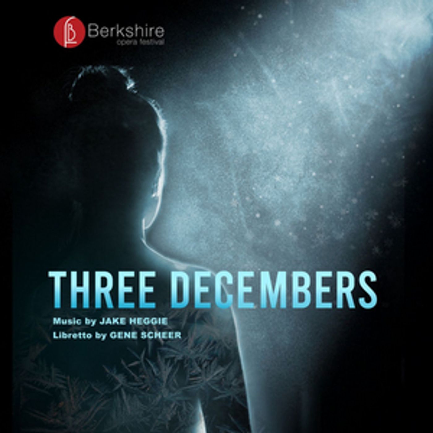 Berkshire Opera Festival Launches its Summer With New Production of Heggie's THREE DECEMBERS  Image