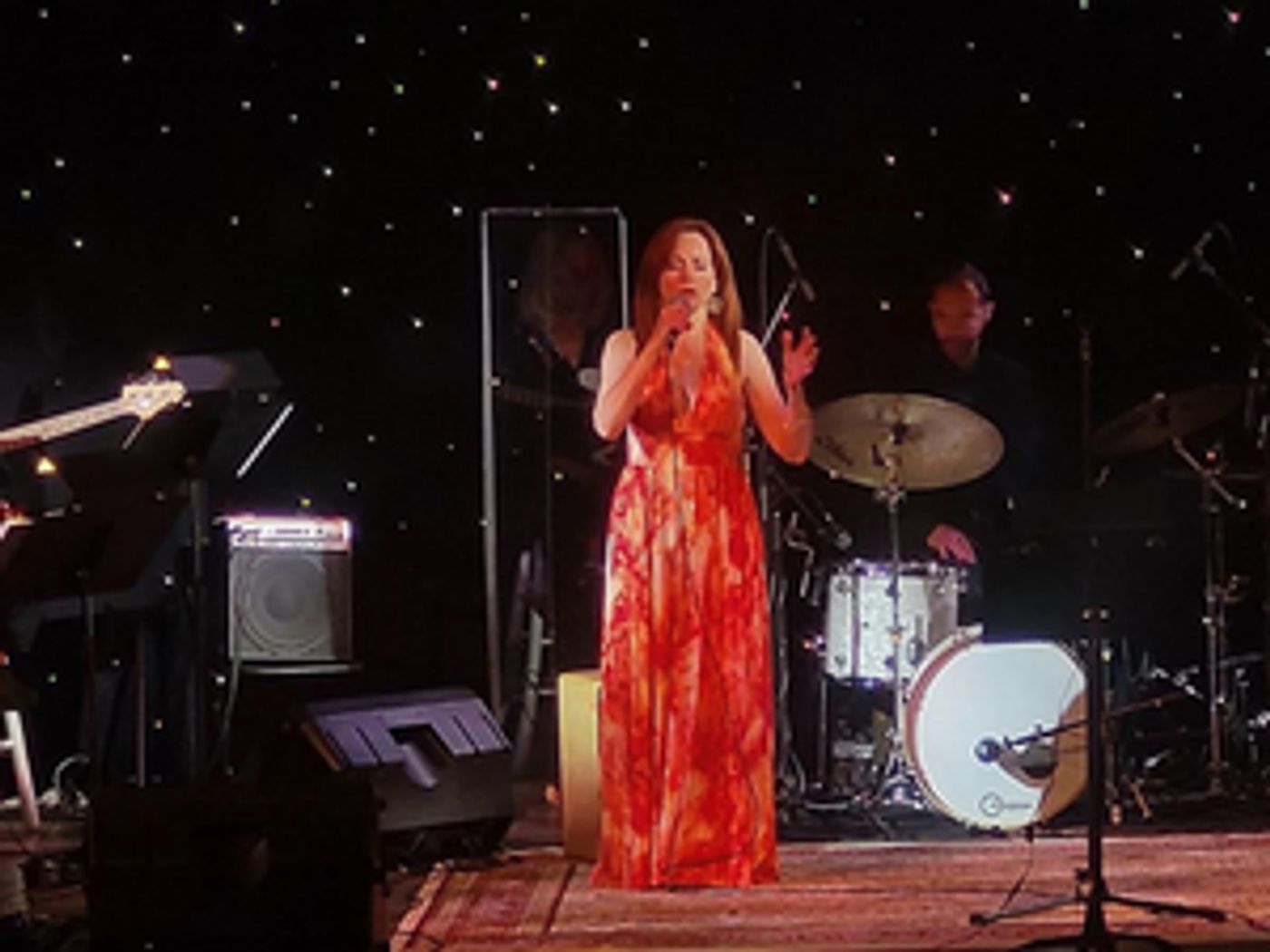 An Exquisite Heidi Kettenring Opens MSMT's Concert Series  Image