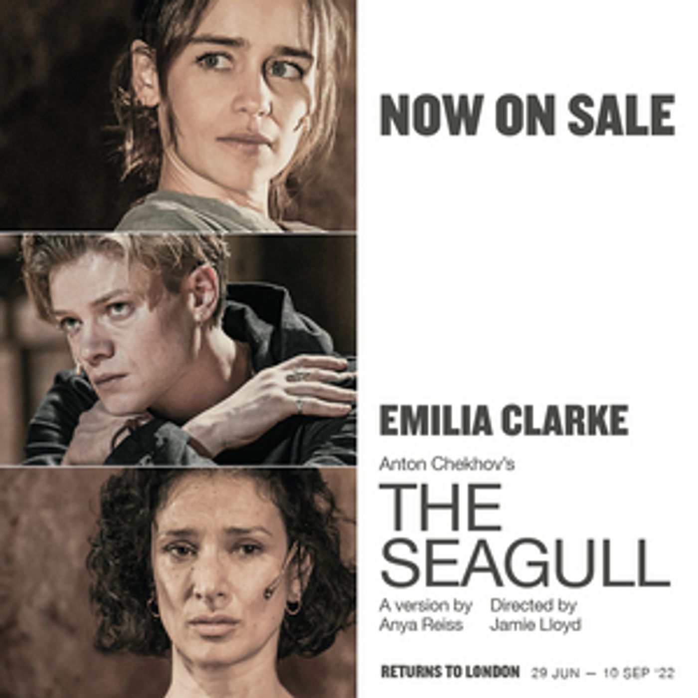 Last Chance To Get Exclusive Ticket Prices For THE SEAGULL  Image