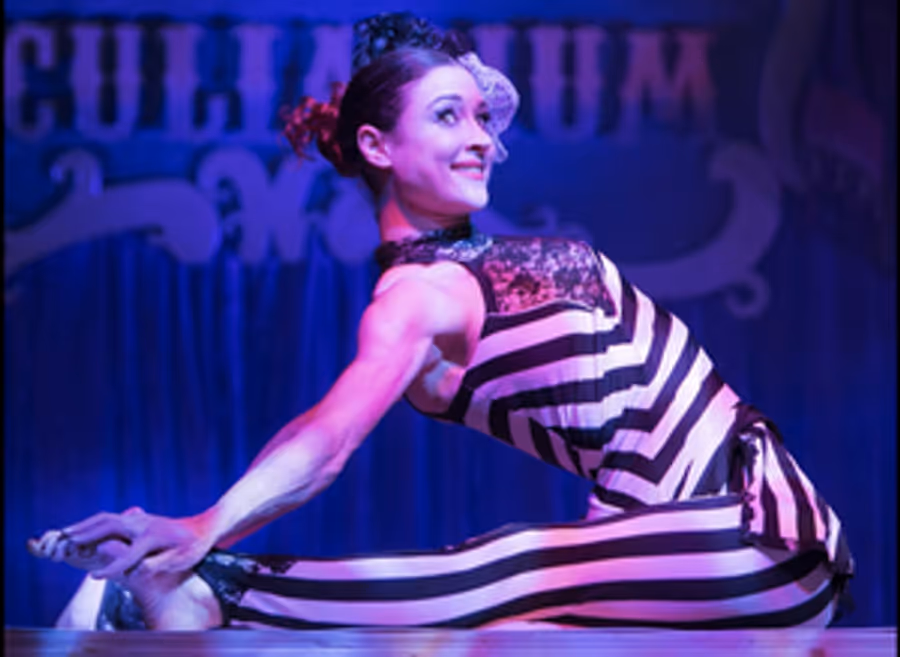 MR. SWINDLE'S TRAVELING PECULIARIUM AND DRINK-ORY GARDEN to Make Boston Debut in October Image