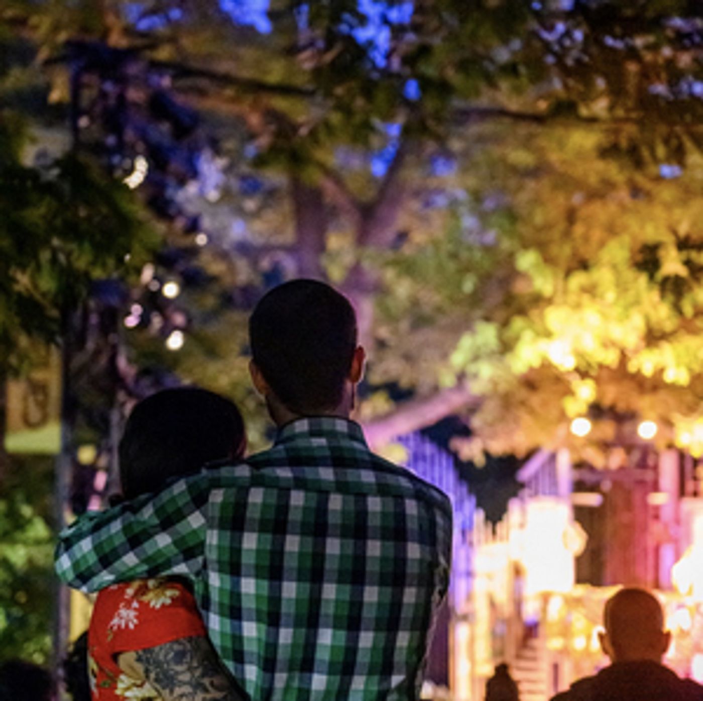 Canadian Stage to Return to High Park This Summer With AS YOU LIKE IT  Image