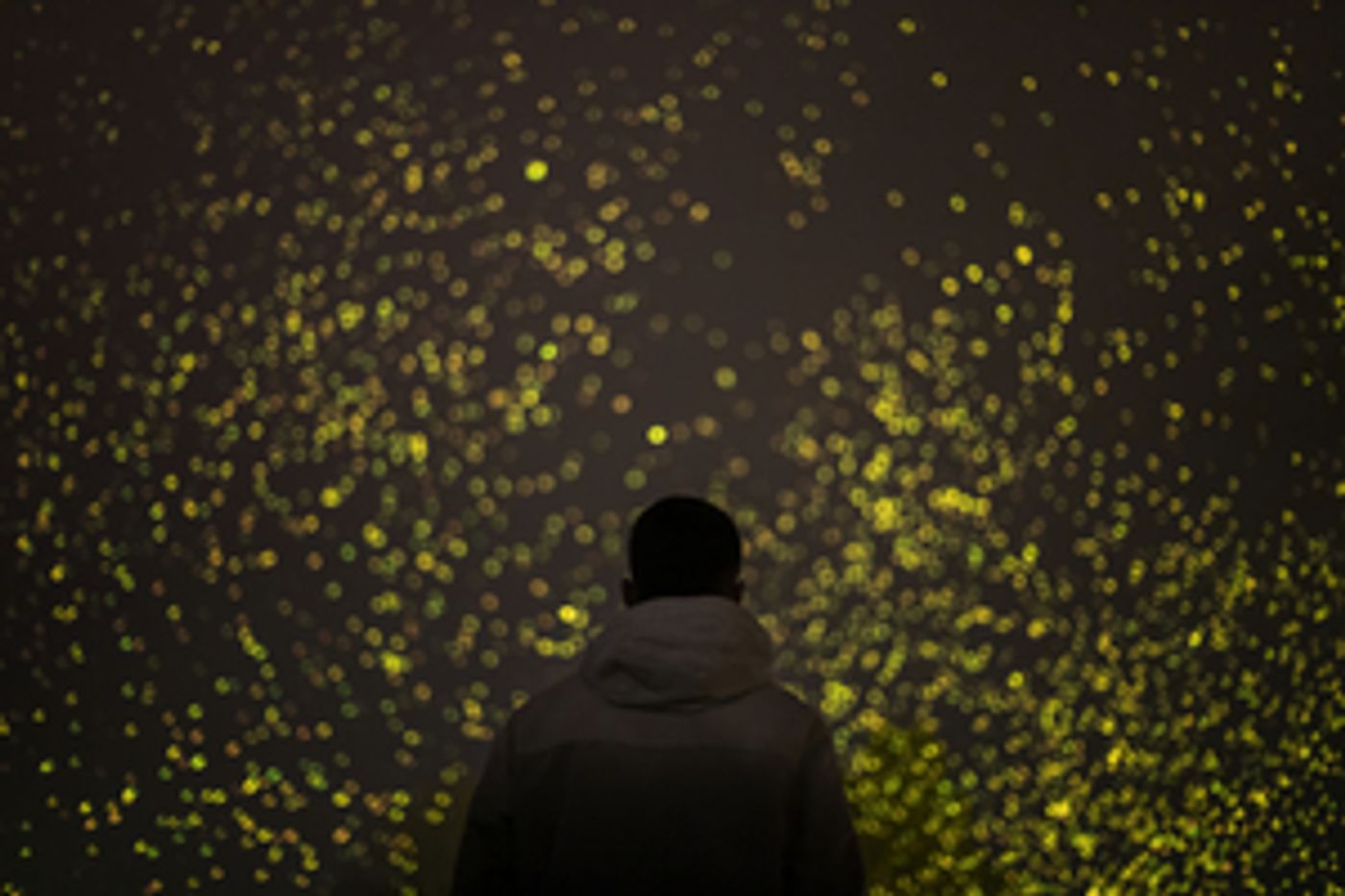 SPARK To Open Greenwich + Docklands International Festival 2022  Image