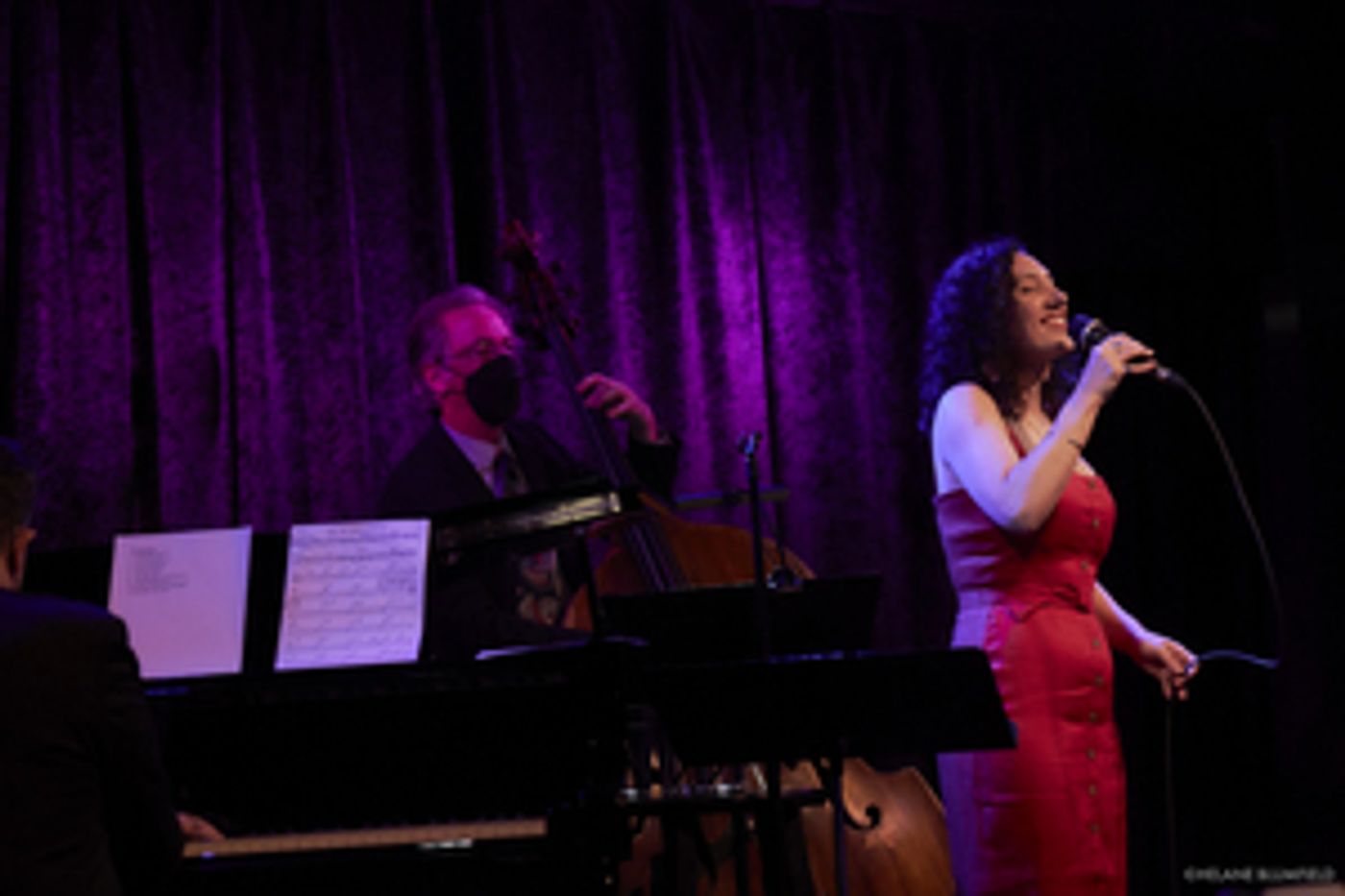 Photos:  The GABRIELLE STRAVELLI TRIO Extends Birdland Theater Residency  Image