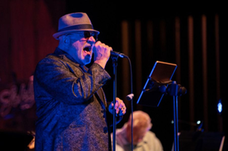 Derrick Procell to Return to Raue Center's Arts On The Green for the Release of New Album HELLO MOJO! Image