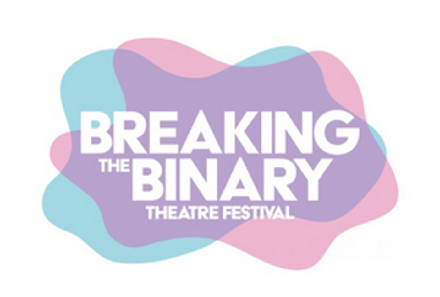 BREAKING THE BINARY THEATRE FESTIVAL Announces Inaugural Lineup Featuring Work by TNB2S+ Theatermakers  Image