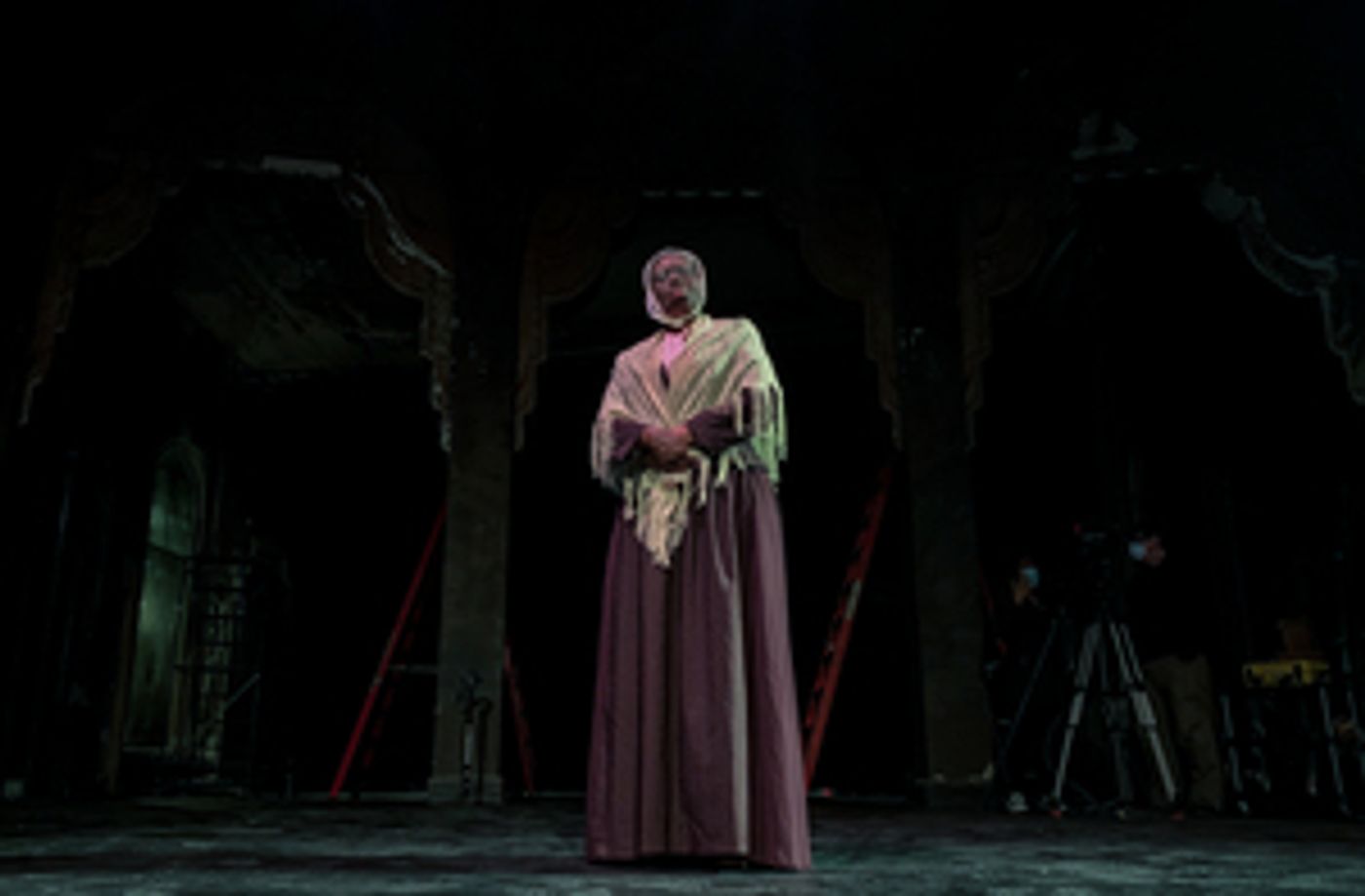 Artist Zuhairah McGill to Bring SOJOURNER to National Black Theatre Festival in August  Image