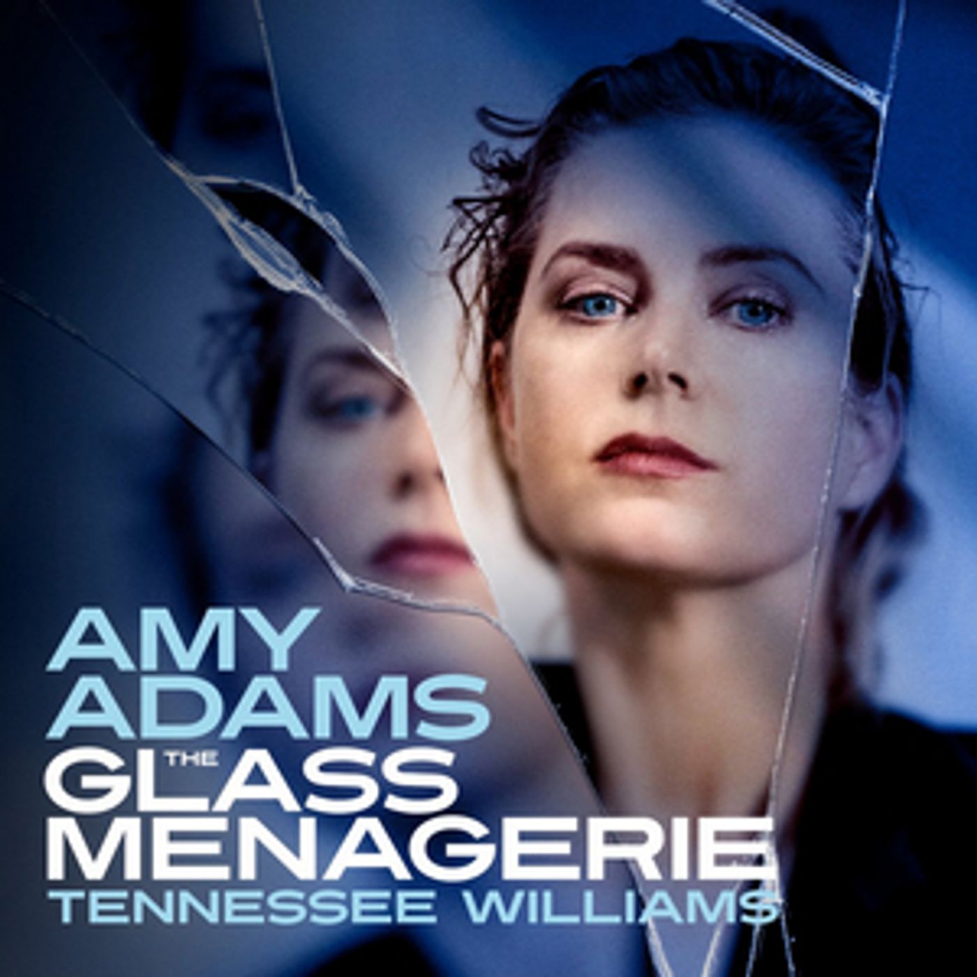Save Up To 41% on THE GLASS MENAGERIE Starring Amy Adams  Image