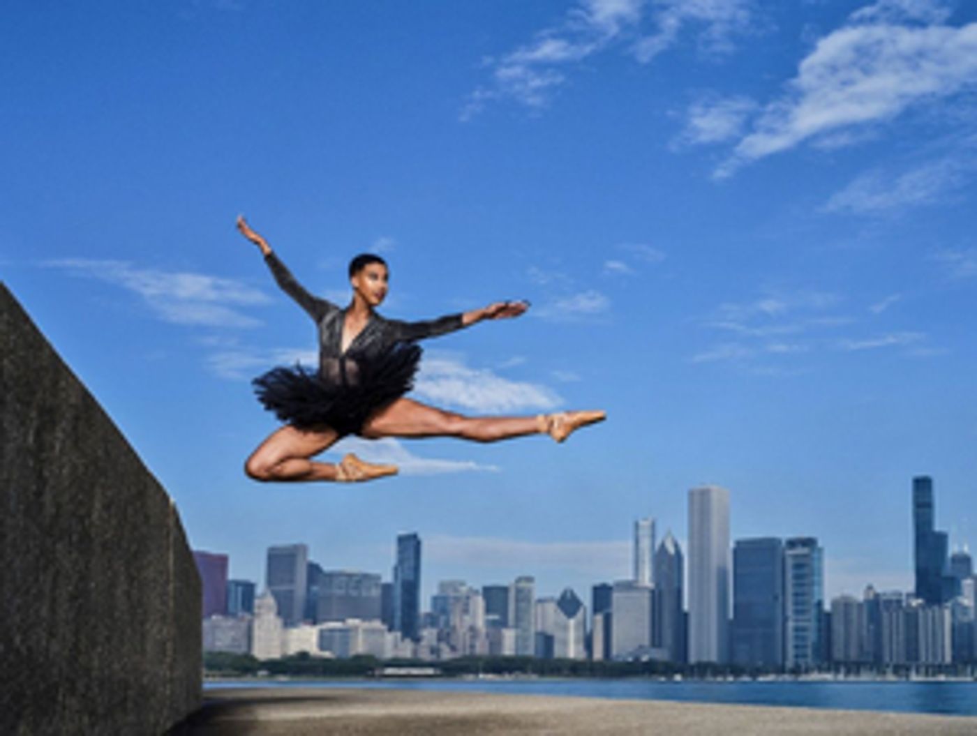 Chicago Black Dance Legacy Project Announces FREE Concert - Reclamation: The Spirit of Black Dance in Chicago  Image