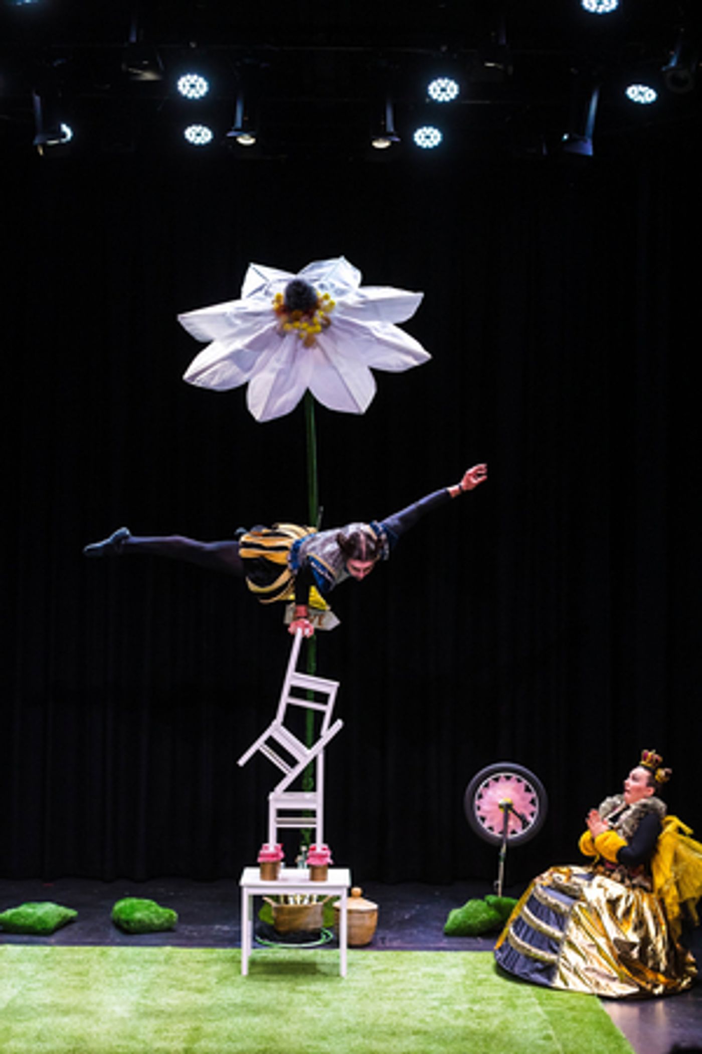 EDINBURGH 2022: A BEE STORY Q&A  Image