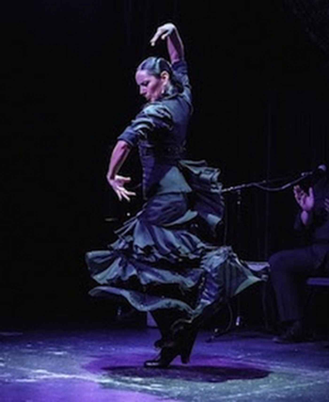 Frankin Stage Company to Present Flamenco Vivo Carlota Santana at Chapel Hall This Month  Image