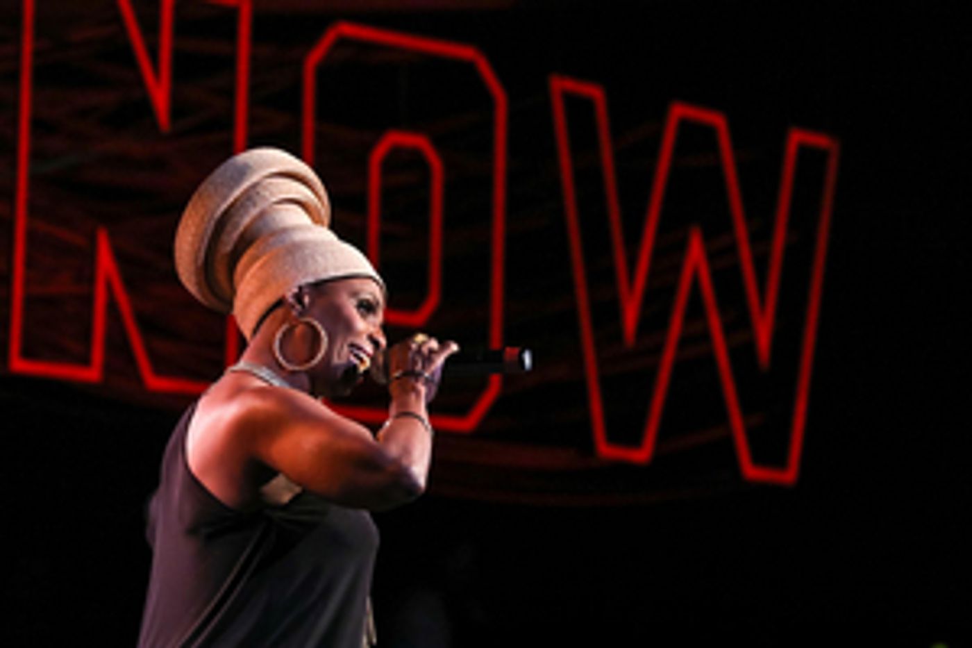 Virginia Theatre Festival To Present NO FEAR AND BLUES LONG GONE: NINA SIMONE  Image