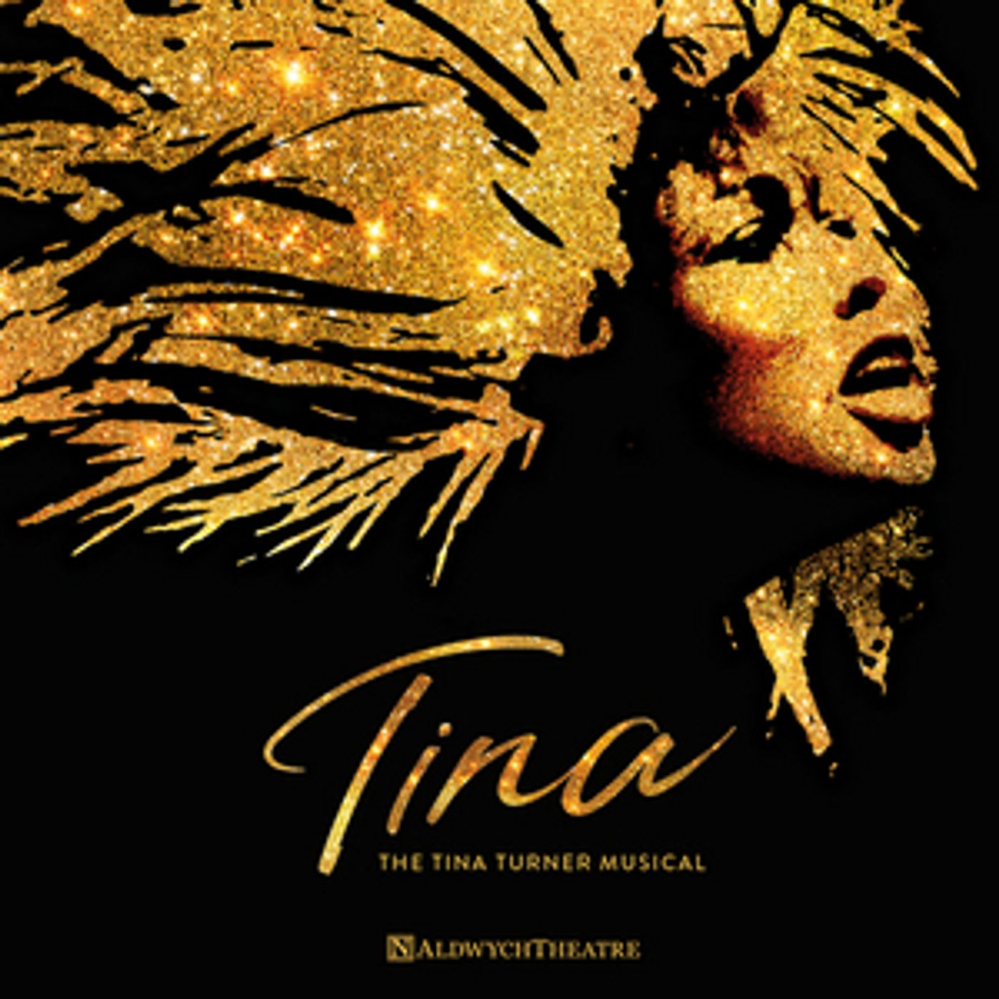 Show Of The Week: Exclusive Prices for TINA-THE TINA TURNER MUSICAL  Image
