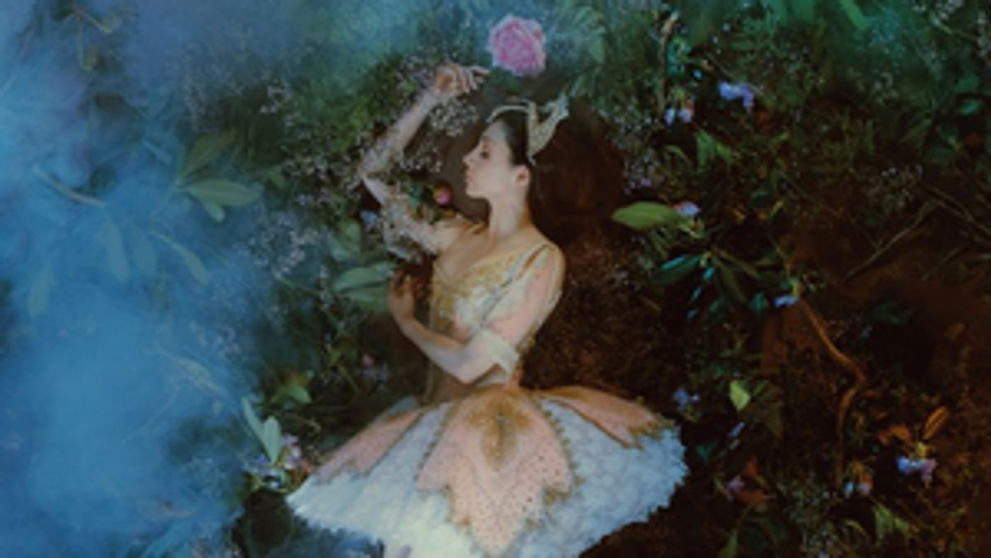 THE SLEEPING BEAUTY Returns to the Netherlands This Year  Image