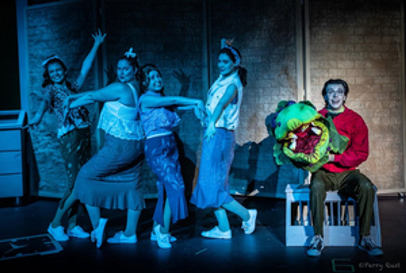 Review: LITTLE SHOP OF HORRORS at FMCT  Image