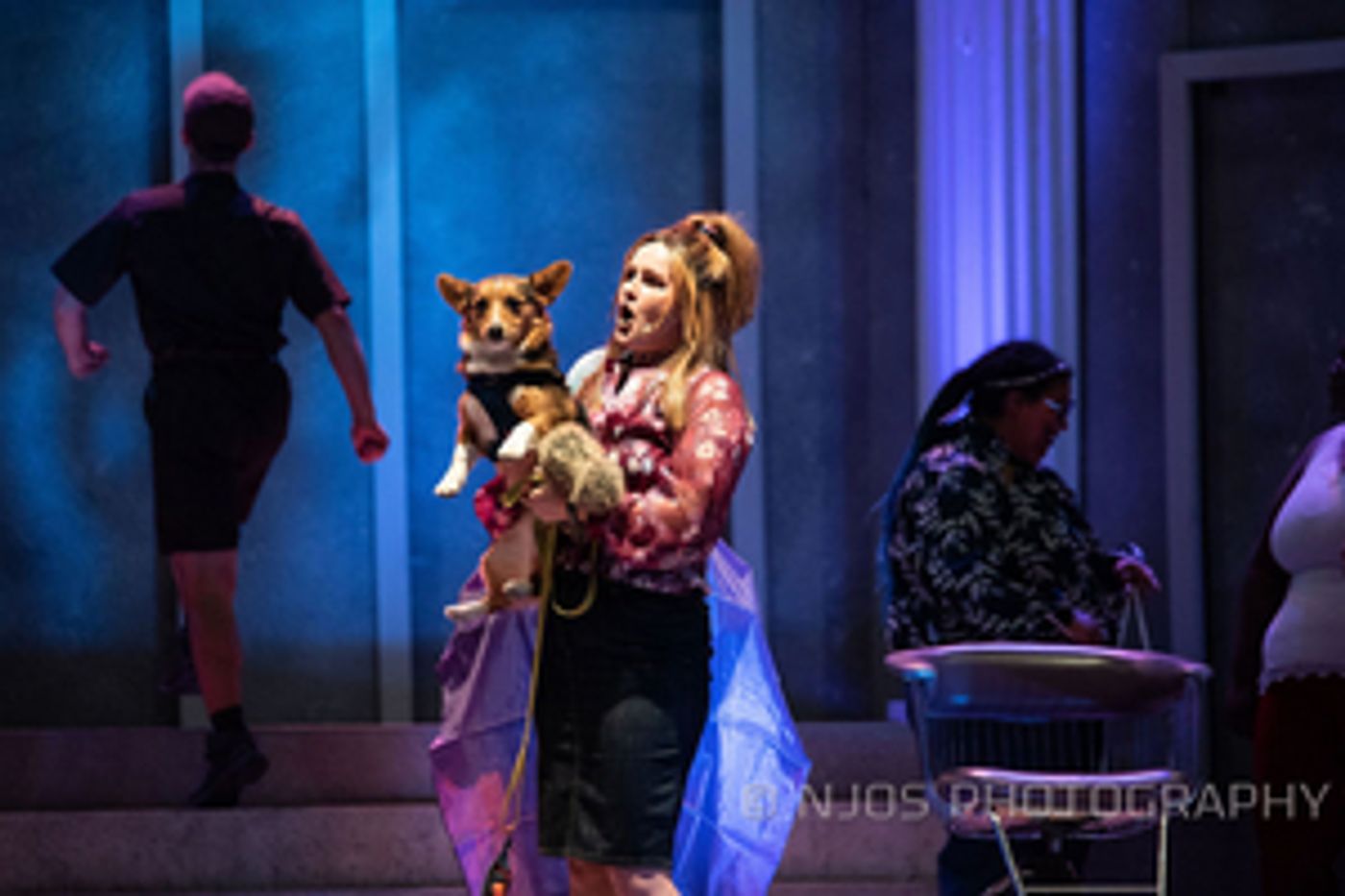 Review: LEGALLY BLONDE THE MUSICAL at Essential Health Plaza At The Lights  Image