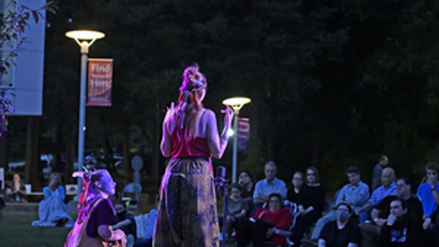 Hedgerow Theatre Company and Delaware County Community College Drama Department Present Shakespeare's TWELFTH NIGHT This Month  Image