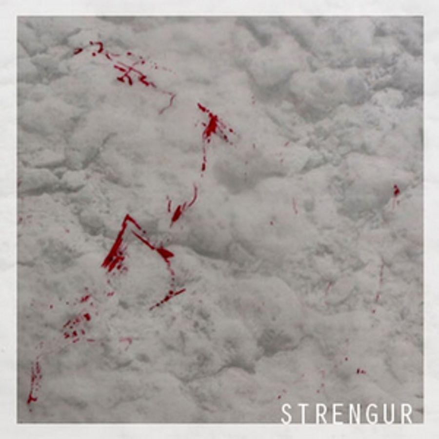 Violinist and Composer Halla Steinunn Stefánsdóttir Releases New Album STRENGUR Image