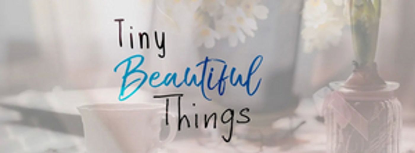 TINY BEAUTIFUL THINGS Comes to Theatre Tallahassee in September  Image