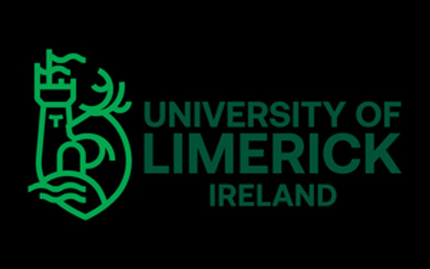 Silkroad & University Of Limerick Announce Partnership + Event At Harvard ArtLab  Image