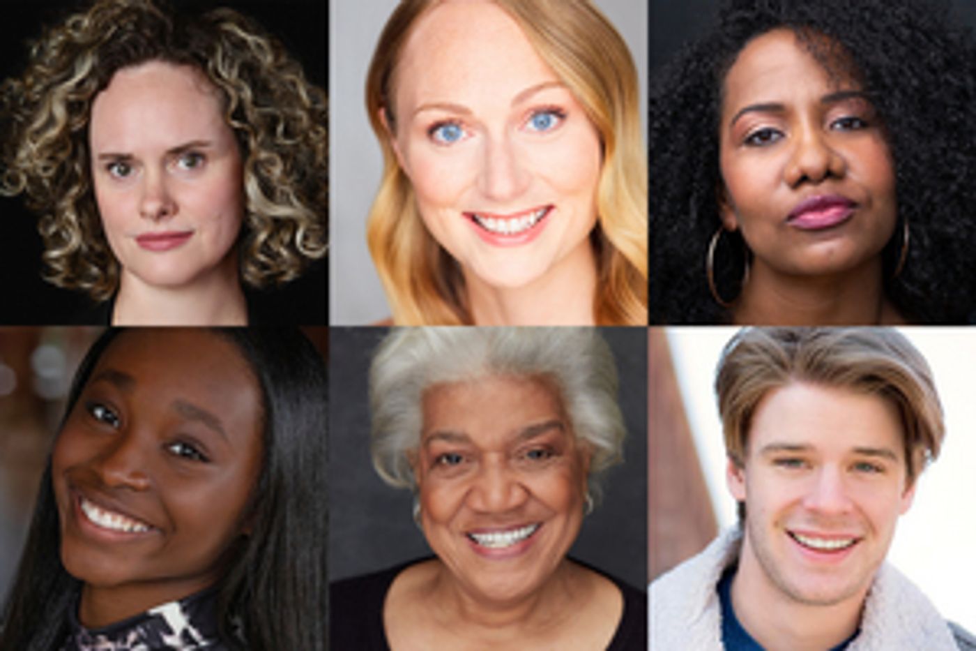 Cast Announced for the World Premiere of THE LOCUSTS at Theater Wit  Image