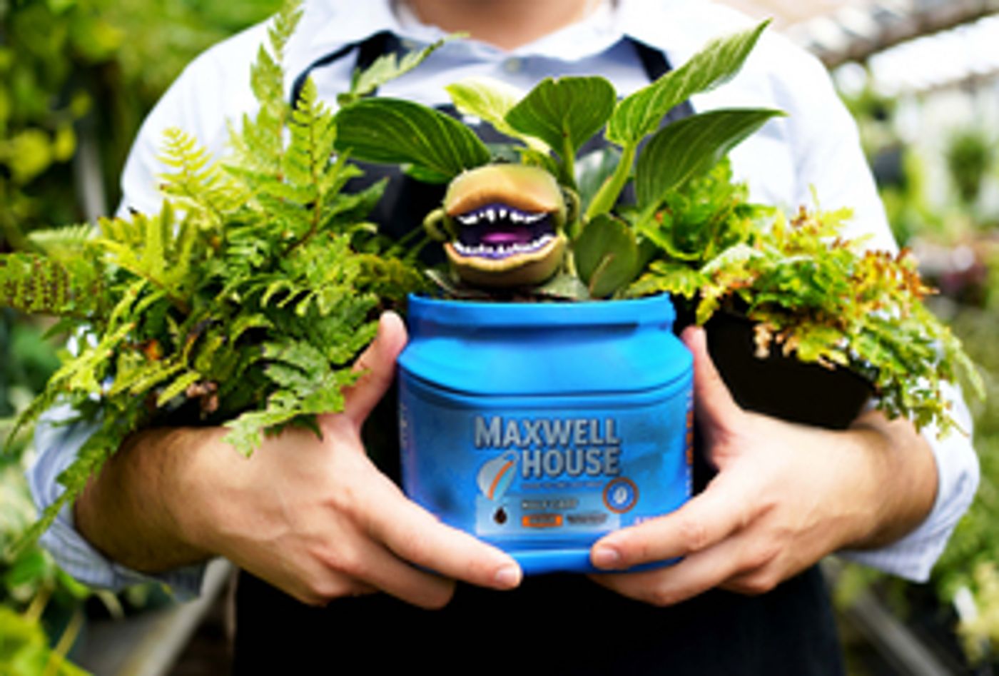 LITTLE SHOP OF HORRORS Comes to Stagecrafters  Image