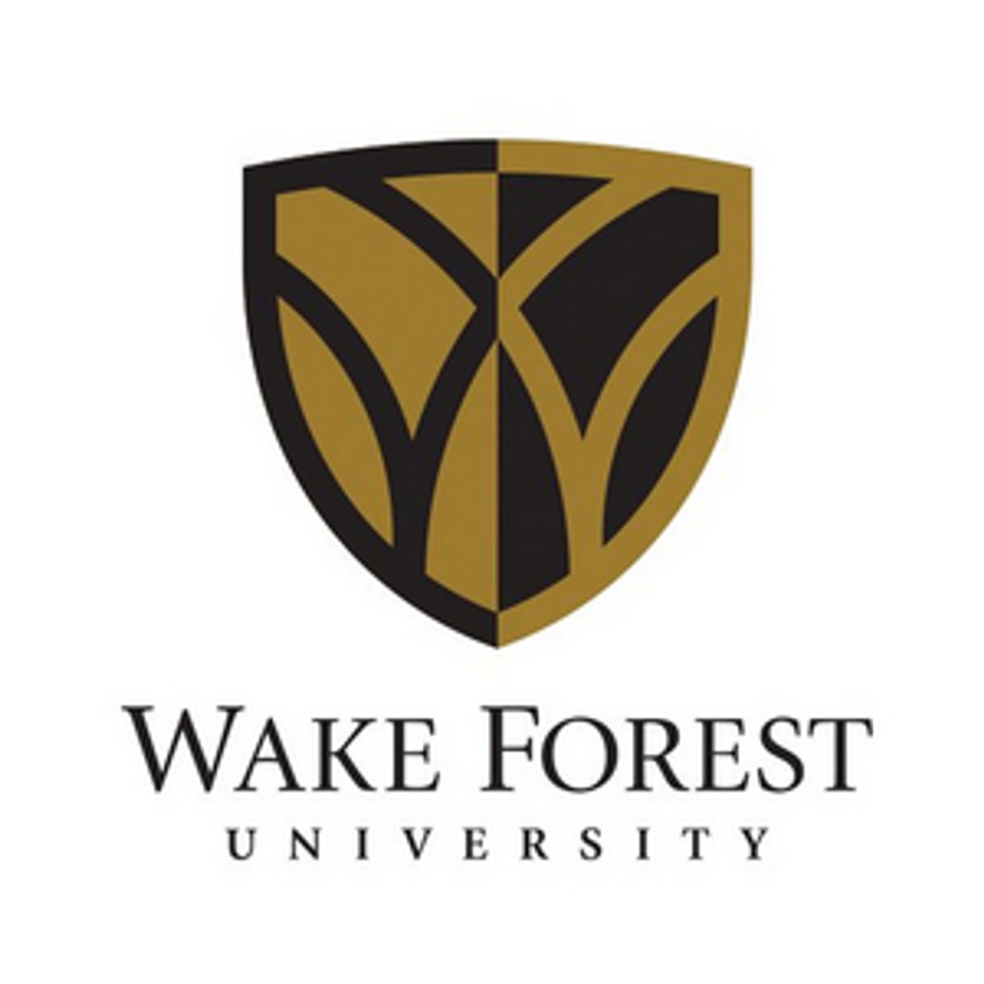 NC Black Rep & Wake Forest University Announce Winning Playwrights of 'Finding Holy Ground' Commissions  Image