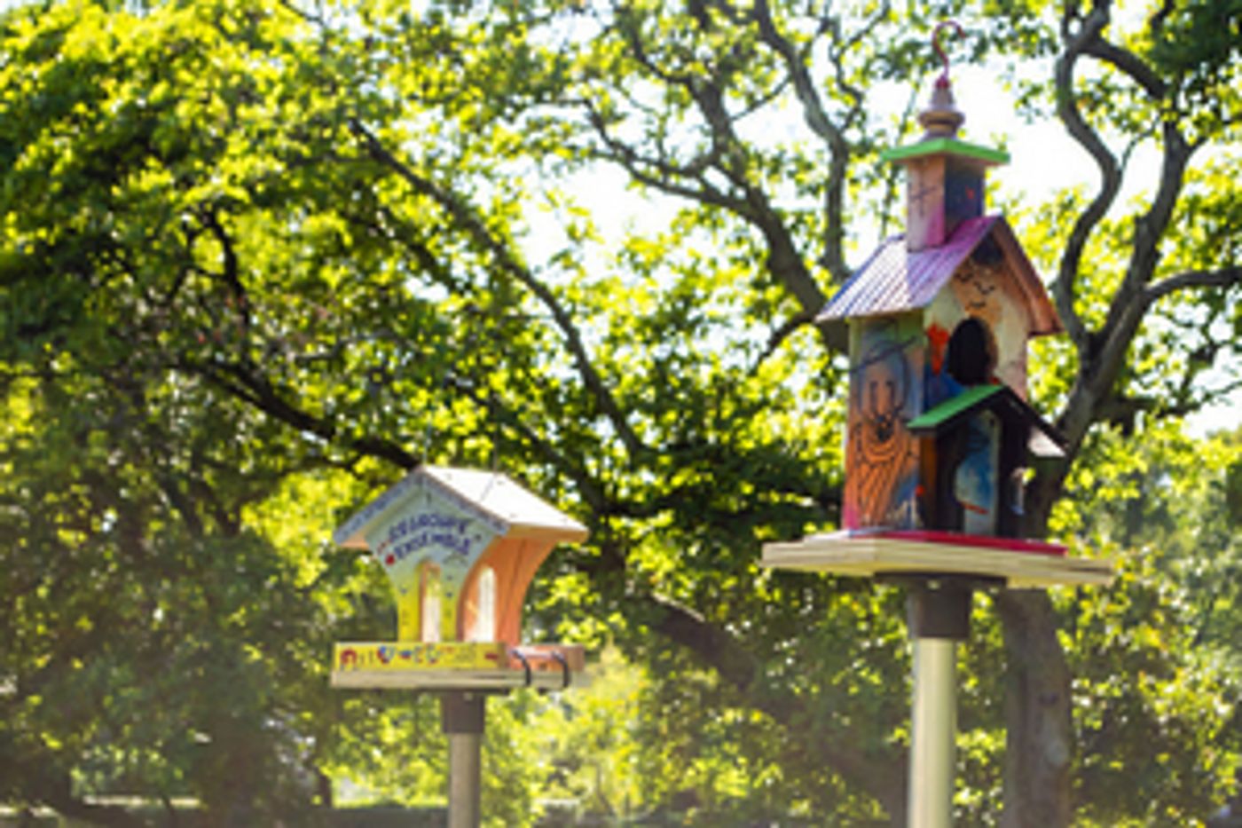Birdhouses By George Clinton Added To Exhibition & New Benefit Auction Live Now  Image