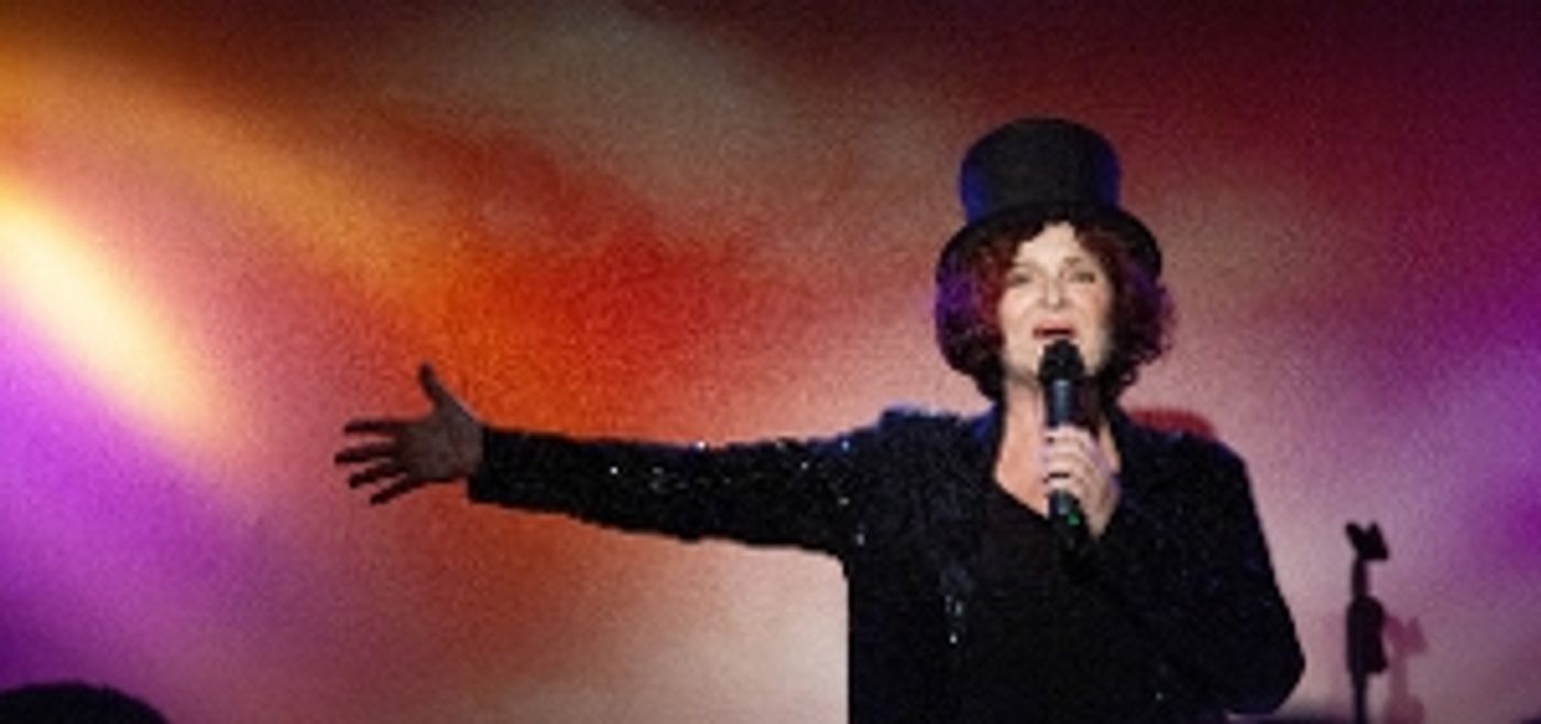 Photos: Therese Lee Plays RIDING THE BUS TO THE RED CARPET at Don't Tell Mama  Image