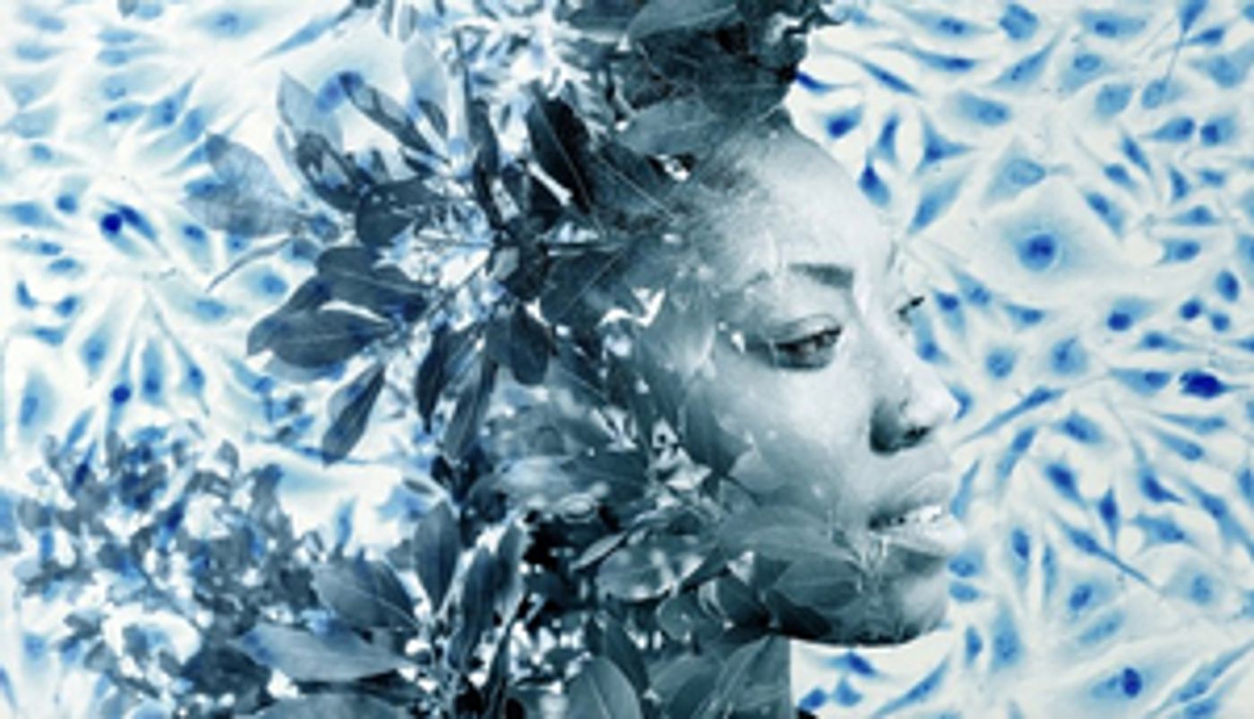 Actors Touring Company Announces New 2023 Co-pro and National Tour of FAMILY TREE  Image