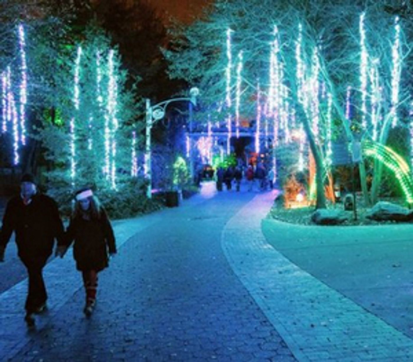 PHILADELPHIA ZOO Lights Up the Holidays with More that a Million Shimmering Lights  Image
