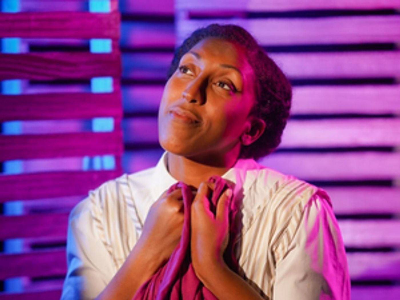 Review: THE COLOR PURPLE at The Woodlawn Theatre  Image