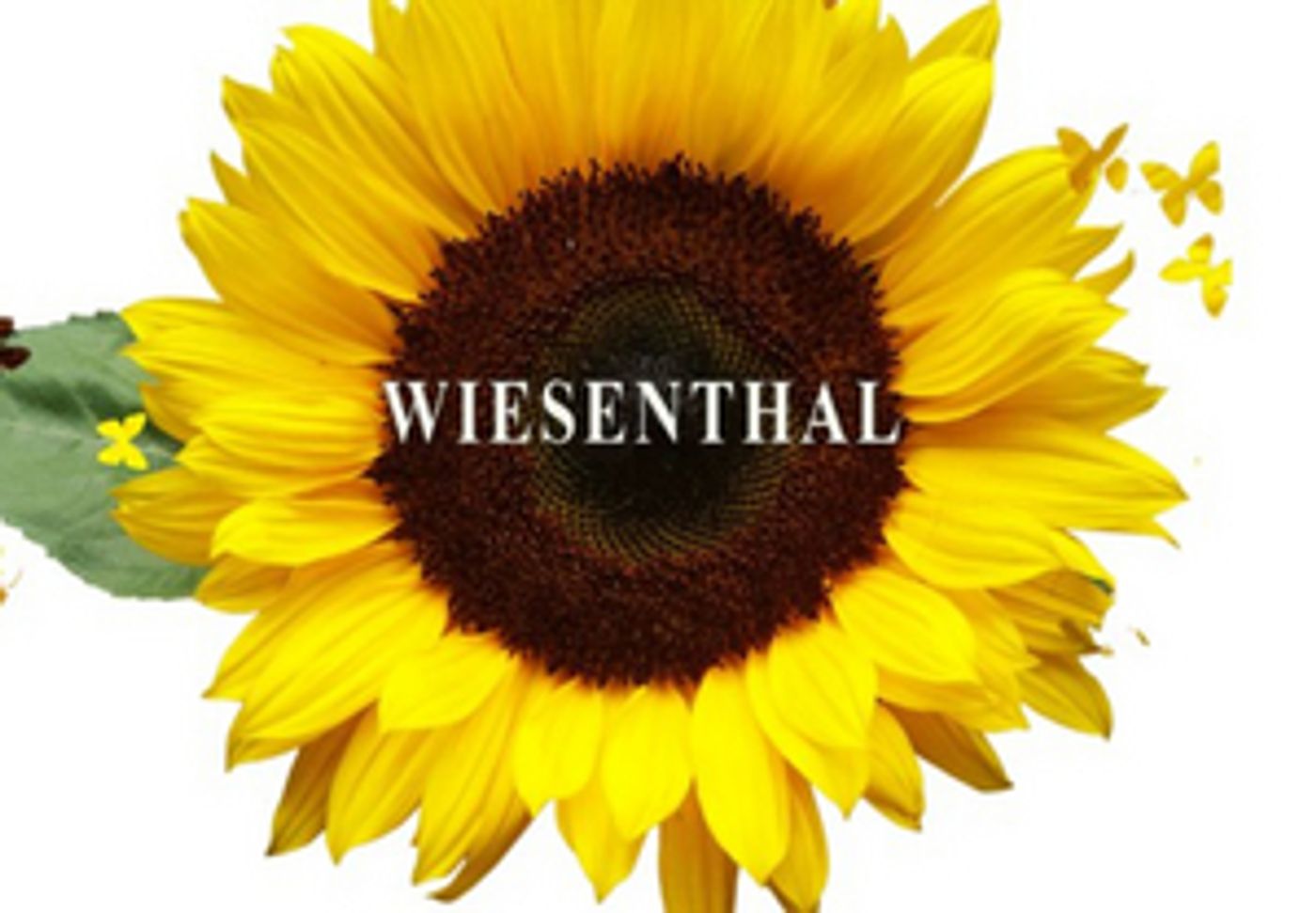 WIESENTHAL Comes to The Wells Theatre Next Month  Image