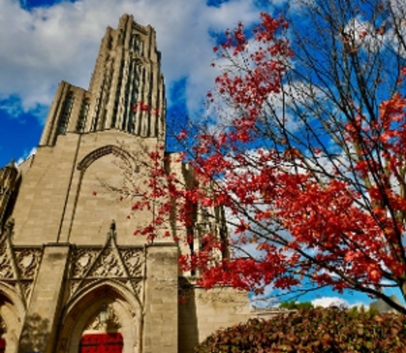 Student Blog: Back in the 'Burgh  Image