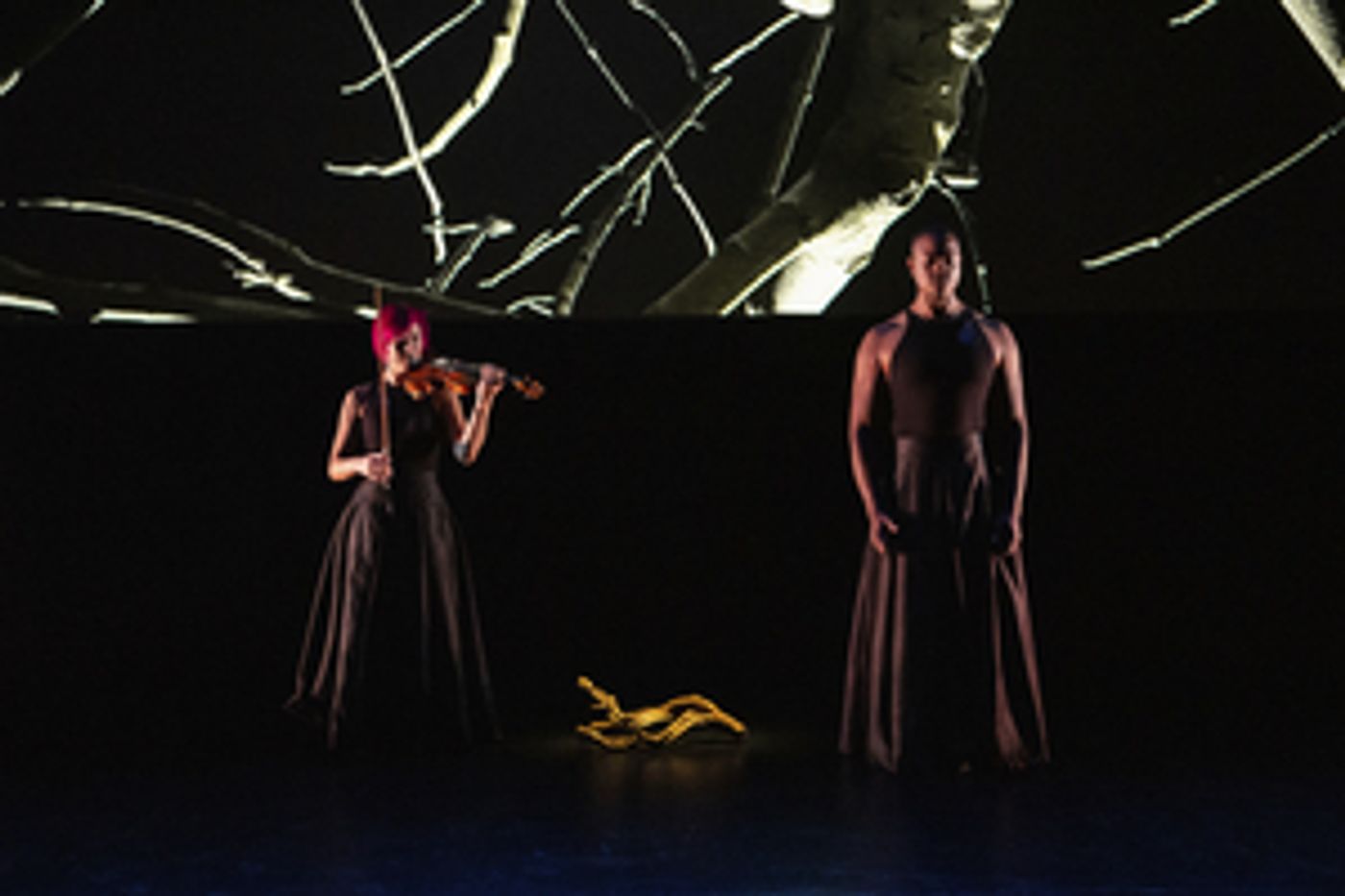 Review: How the Wisdom of Elders Influenced Musicians Davone Tines and Jennifer Koh in EVERYTHING RISES at BAM  Image