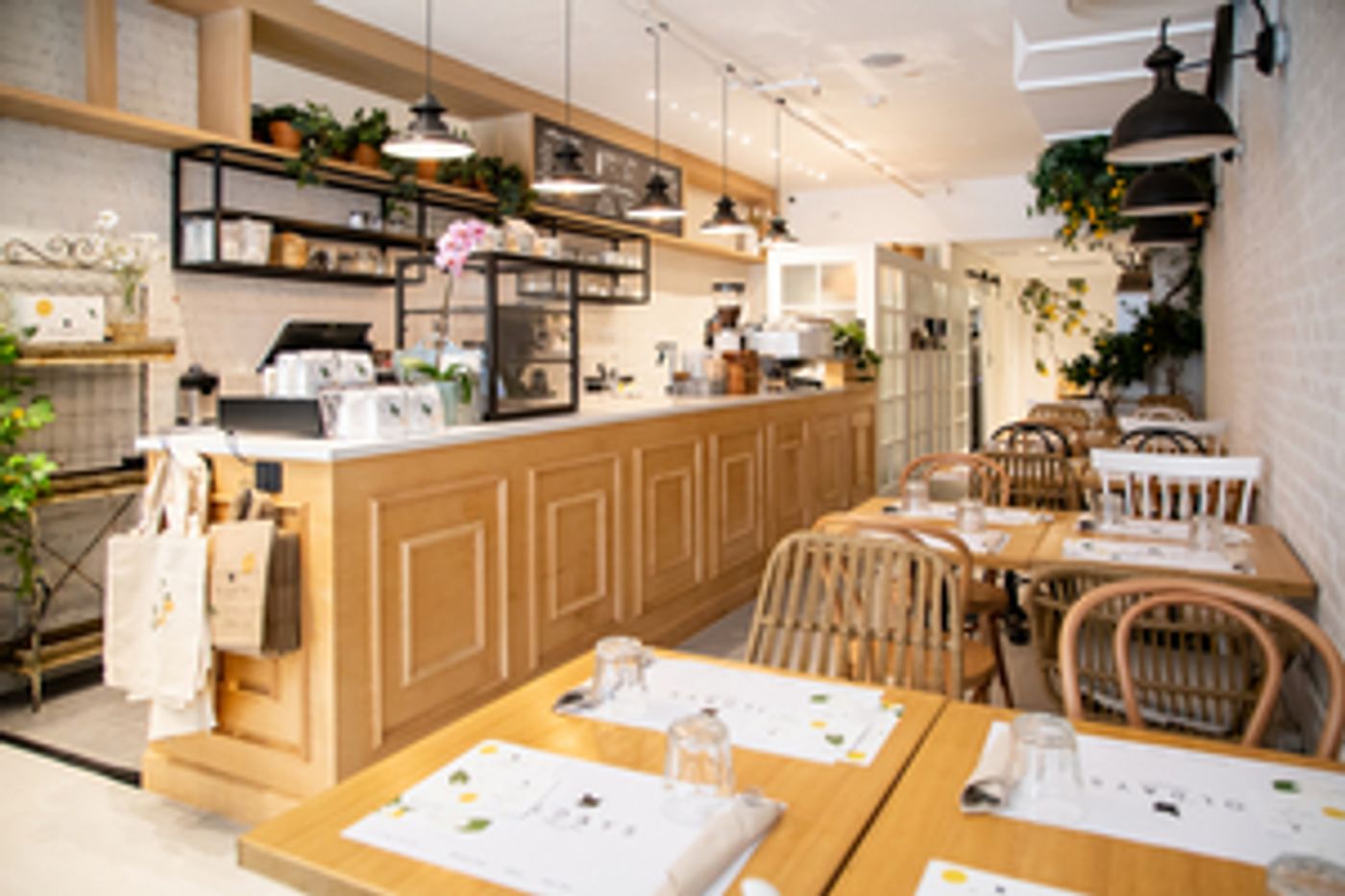 Interview: Founder, Martina Fracchia of OL'DAYS IN NYC, Miami and Buenos Aires  Image