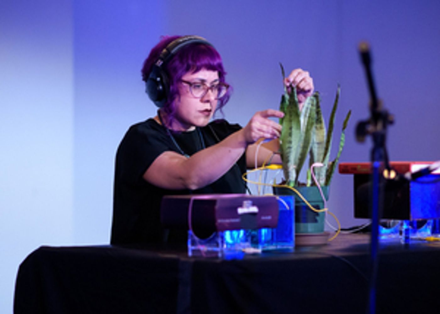 Hermitage Resumes Live Programming as Hurricane Repair Efforts Continue – New Fall Programs Announced  Image