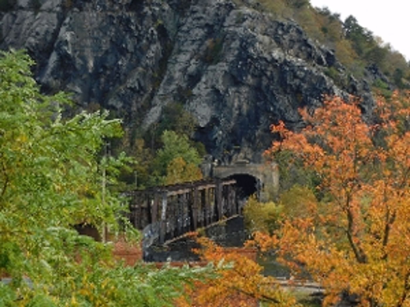 Student Blog: Finding Out What Truly Matters  Image