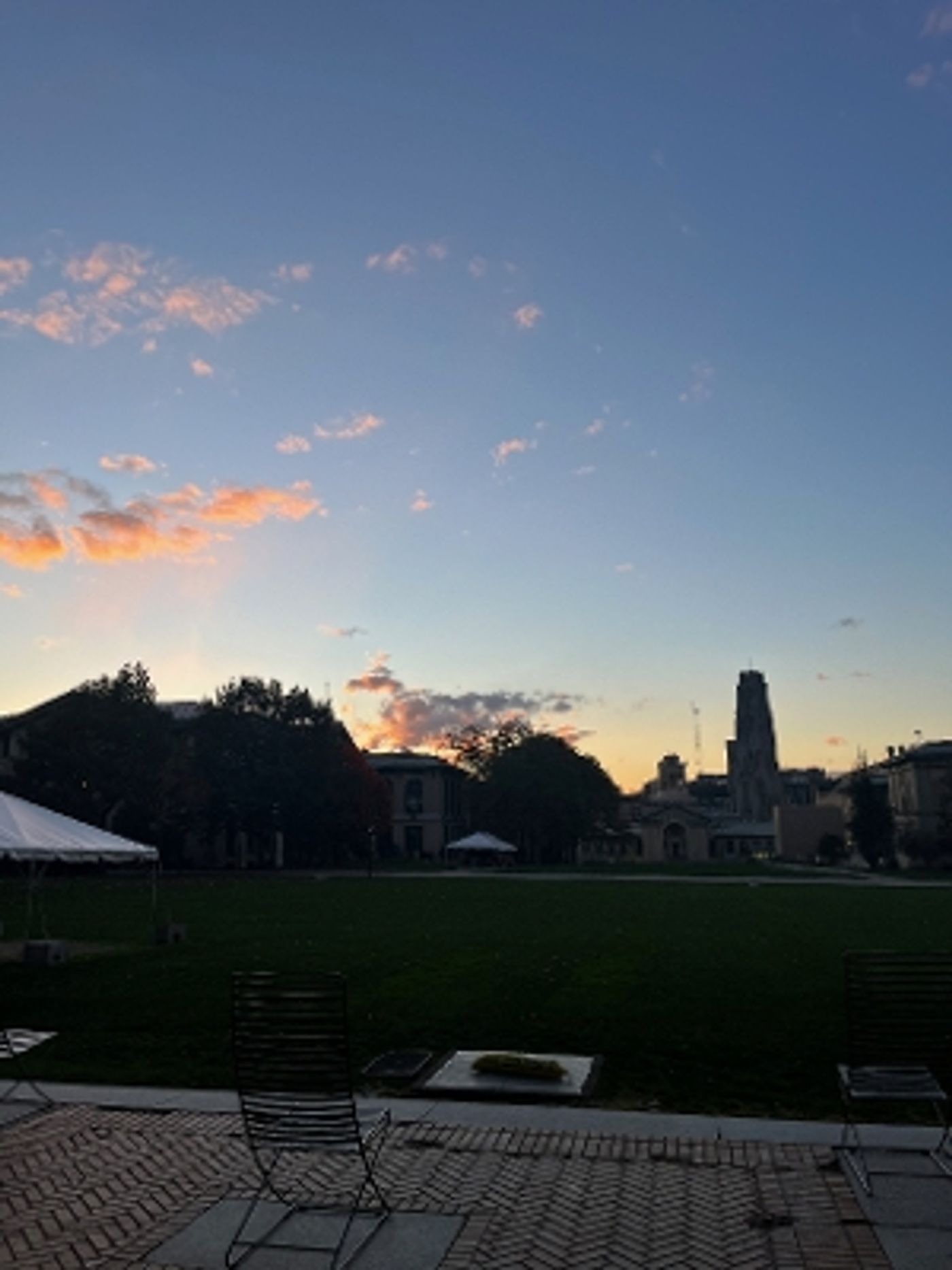 Student Blog: Navigating November Concert Season  Image