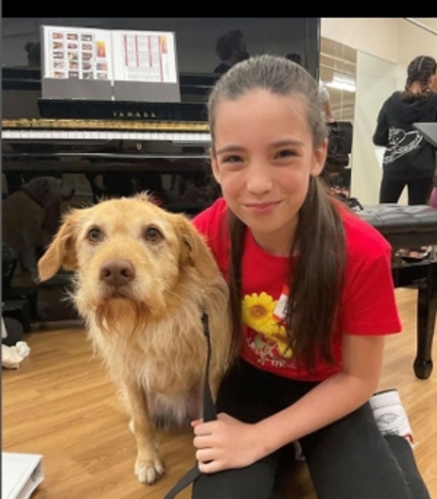 Interview: Bill Berloni Helps Shelter Dogs Become Stars of the Stage in ANNIE at Broadway San Diego  Image