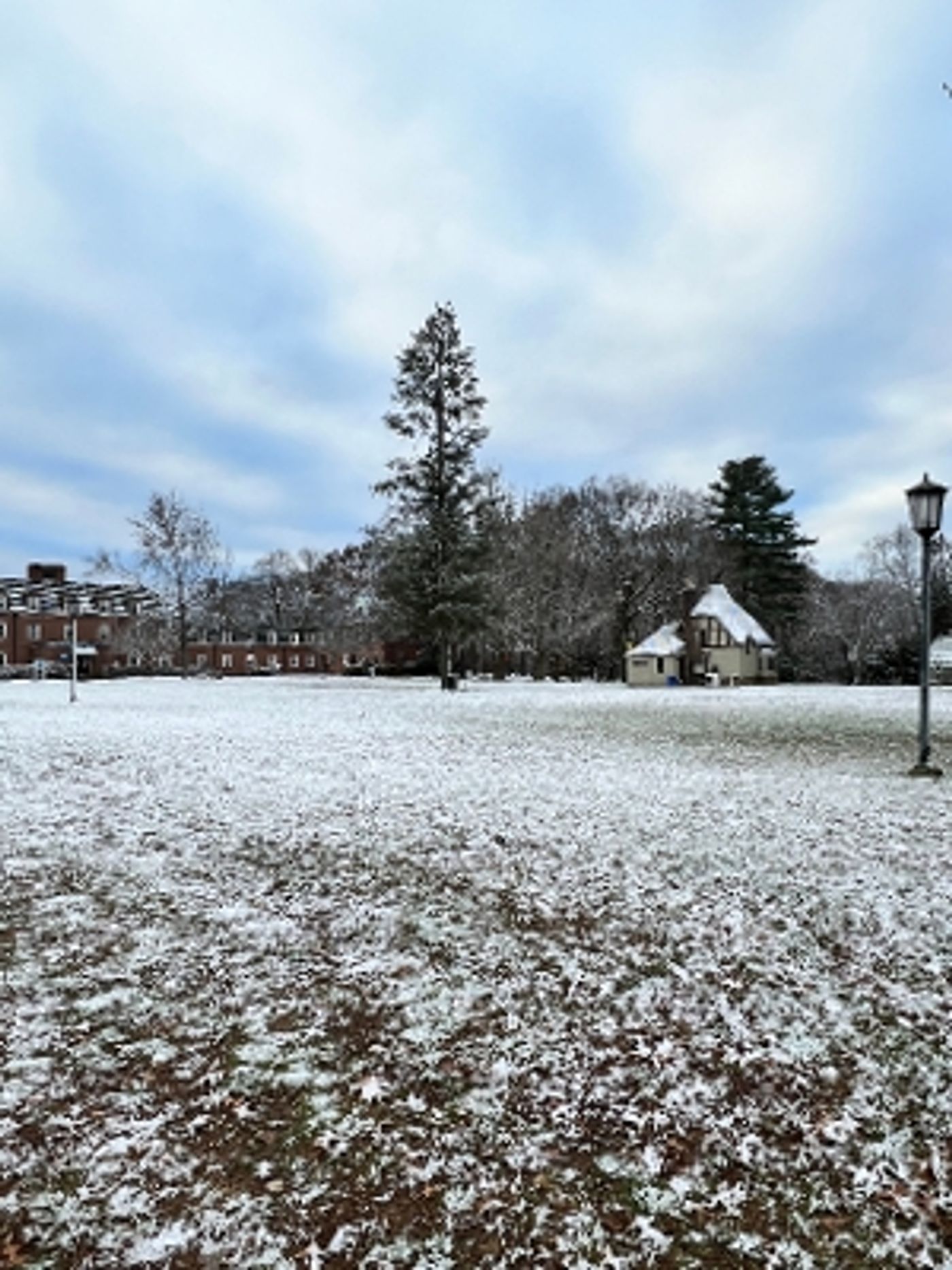 Student Blog: Here We Go! Spring Semester!  Image