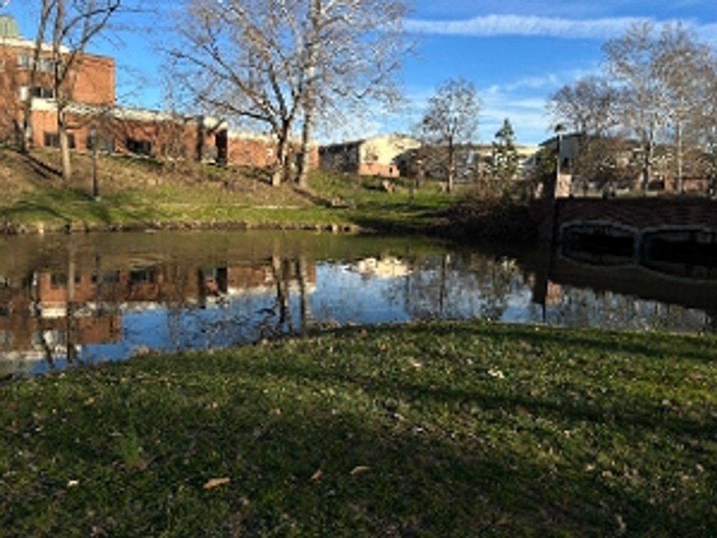 Student Blog: Back to School Student Blog: Back to School Image