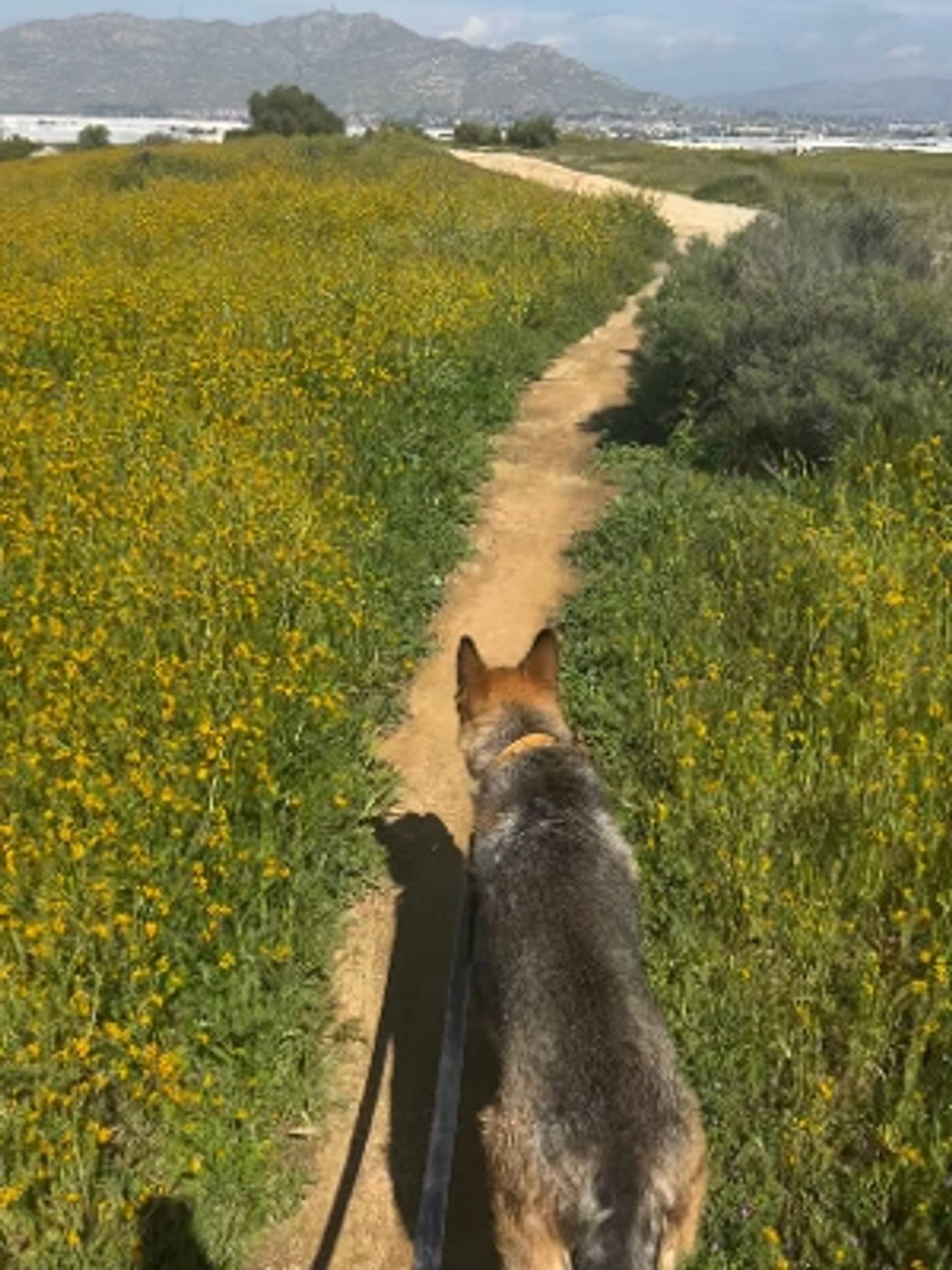 Student Blog: Tools of Management  Image