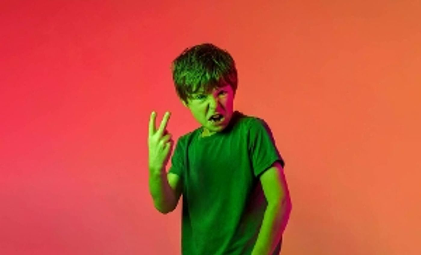 Review: THE UNRULY TOURISTS at Bruce Mason  Image