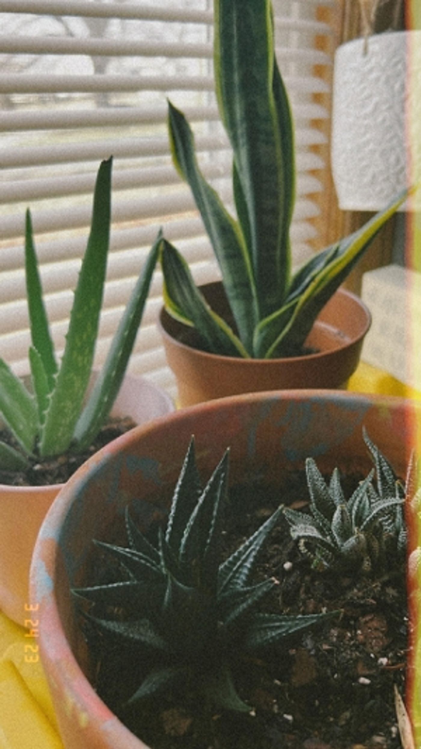 Student Blog: Helpful Tools  Image