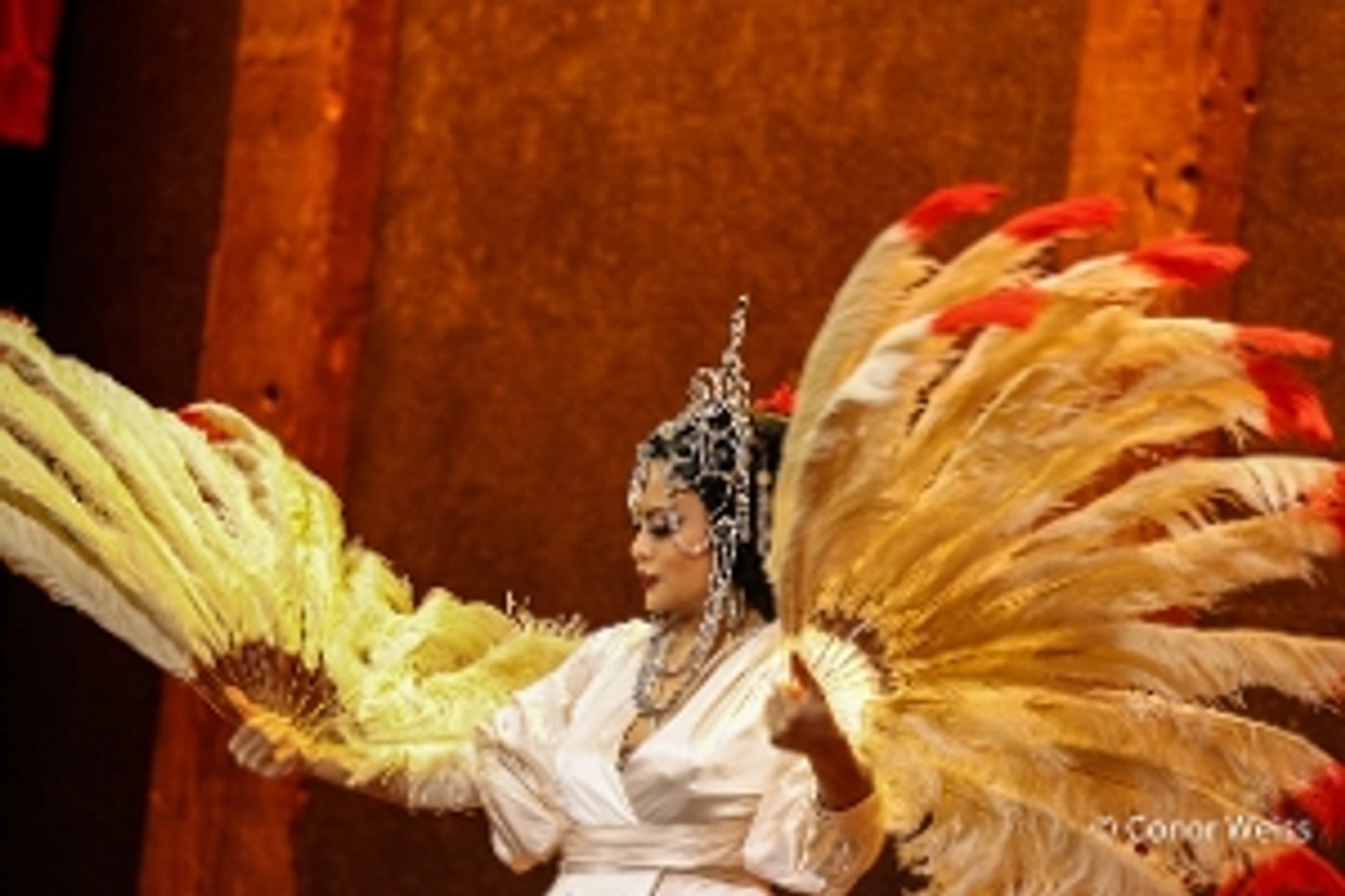 Photos: THE 11TH ANNUAL NEW YORK ASIAN BURLESQUE FESTIVAL at City Winery  Image